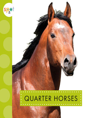 cover image of Quarter Horses